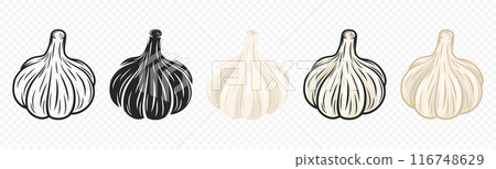 Vector Garlic Bulb Icon Set Closeup, Isolated. Vegetable Vector Illustration. Whole Garlic Head in Flat Style. Hand Drawn Seasoning Spice and Food Design Element Vector Garlic Bulb Icon Set Closeup, Isolated. Vegetable Vector Illustration. Whole Garlic Head in Flat Style. Hand Drawn Seasoning Spice and Food Design Element 116748629