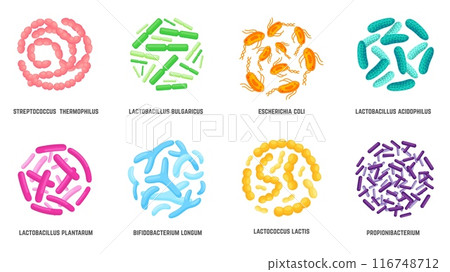 Probiotic bacterias. Useful microorganism or bacteria in abstract petri cup. Human health pharmacy helpers, probiotics flora, healthcare neoteric vector set Probiotic bacterias. Useful microorganism or bacteria in abstract petri cup. Human health pharmacy helpers, probiotics flora, healthcare neoteric vector set 116748712