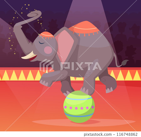 circus elephant. performance with trained big animal standing on ball. vector elephant on arena 116748862