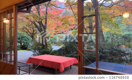 有美麗的秋葉和長凳的日本花園 116748938