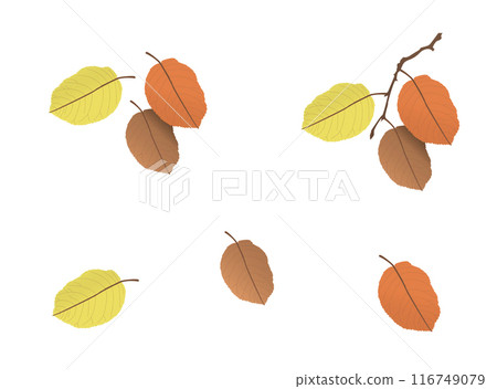 Vector elements, Autumn leaves on a branch, fall Vector elements, Autumn leaves on a branch, fall 116749079