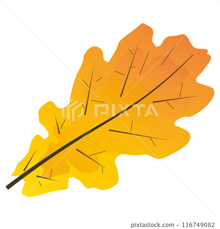 Oak leaf, fall Oak leaf, fall 116749082