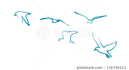 Blue flying seagulls. hand drawing. Not AI. Vector illustration 116749121
