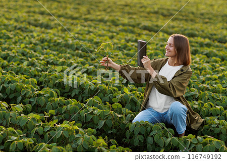 Smart farming soybean technology. Smiling female farmer with digital tablet uses for examine and check soya plants in field. Modern agribusiness of control of growth and development of sprouts Smart farming soybean technology. Smiling female farmer with digital tablet uses for examine and check soya plants in field. Modern agribusiness of control of growth and development of sprouts 116749192
