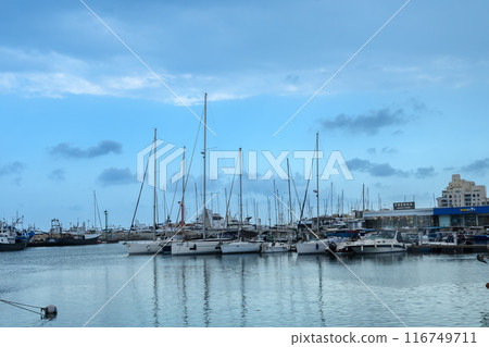 sailing yachts in Port in Limassol Cyprus 116749711