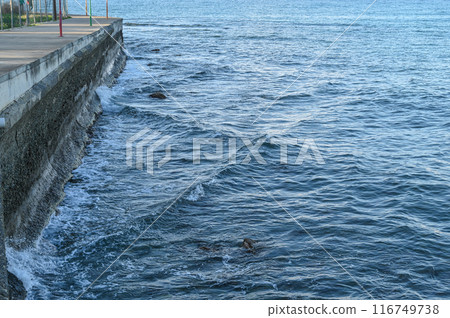 waves of the Mediterranean sea in Cyprus 2 waves of the Mediterranean sea in Cyprus 2 116749738