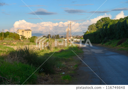 street in a village in winter in Cyprus 1 street in a village in winter in Cyprus 1 116749848