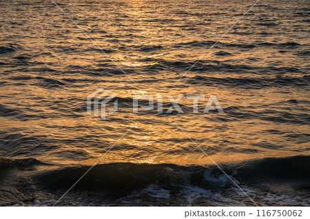 Water background texture. Sea surface in sunset light 116750062