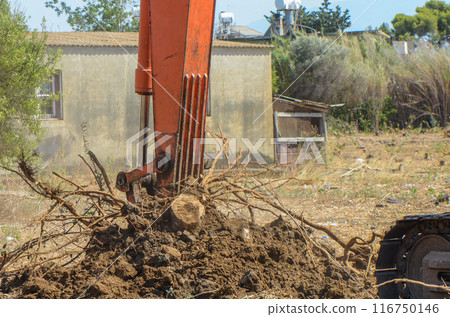 Gazeveren Cyprus 03.07.2024 - excavator uproots the roots of orange trees Gazeveren Cyprus 03.07.2024 - excavator uproots the roots of orange trees 116750146