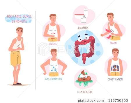 Ibs symptoms. Irritable bowel syndrome infographic, stomach digestive disease symptom diarrhea constipation infection chronic intestinal disorder, health classy vector illustration 116750200