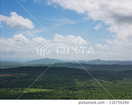 Green hill valley 116750260