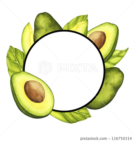 Watercolor frame from avocado and greenery leaves isolated on white background. Hand drawn organic ecological Food. Green plant vegetables. Vegetable sketch painting 116750314