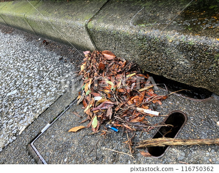 Garbage blocking the intake of the rainwater manhole 116750362
