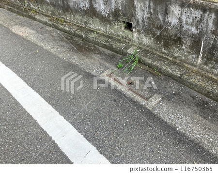 Garbage blocking the intake of the rainwater manhole 116750365