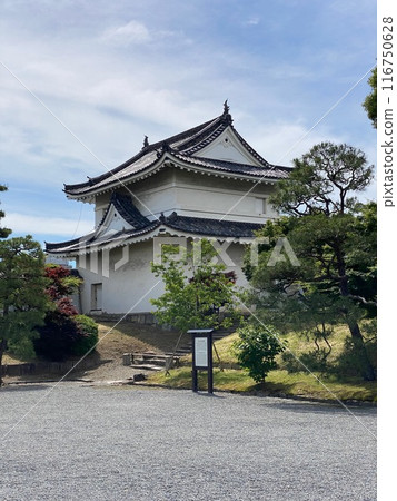 Photo of Japanese Black Pine in Nijo Castle Kyoto Japan 116750628