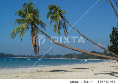 Ngapali Beach is Myanmar's most famous beach. This beautiful beach Consisting of clean white sand beaches, blue sea water. and beautiful rows of palm trees along the coast. Ngapali Beach is Myanmar's most famous beach. This beautiful beach Consisting of clean white sand beaches, blue sea water. and beautiful rows of palm trees along the coast. 116750863