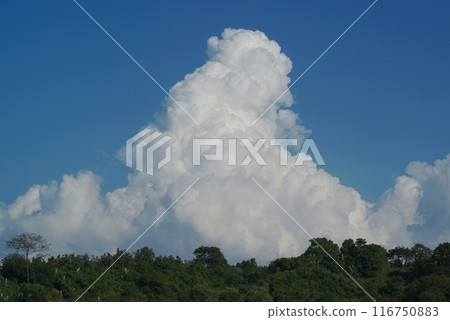 Beautiful white clouds floating above the land. 116750883