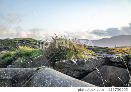 Rosbeg harbour at sunset, County Donegal, Ireland 116750905