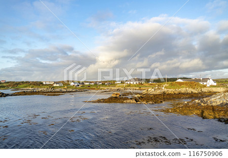 Rosbeg harbour at sunset, County Donegal, Ireland 116750906