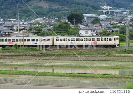 信濃鐵道115系列車在坂木町背景的鄉間行駛_2024年6月9日拍攝 116751116