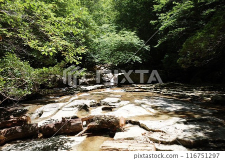 Campsite river 116751297