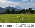 Mount Fuji as seen from Kiyosato 116751386