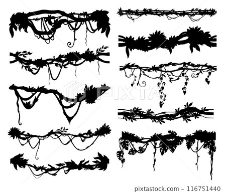 Jungle tropical liana branch and vine silhouette of ivy creeper plants, vector icons. Tropical rainforest liana and Amazon jungle hanging tree with climbing leaves and rope roots for ornate frame 116751440