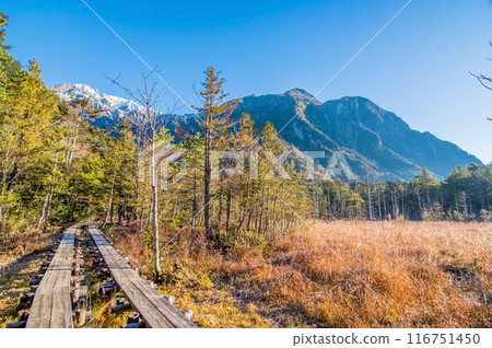 [Autumn in Kamikochi] The Hotaka mountain range as seen from the walking trail around the Dakezawa Marsh 116751450