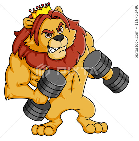 muscular lion mascot lifting dumbbells of illustration 116751496