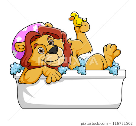 Cute lion Bathing In Baathtub with rubber bath duck of illustration 116751502