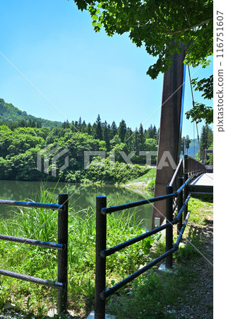 初夏的大元太峽谷、湖泊與鐵橋風景，新潟縣湯澤町 116751607