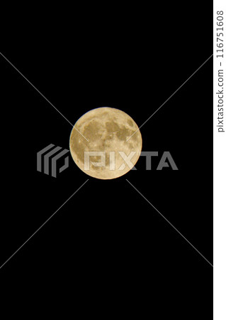 漂浮在夜空的滿月 116751608
