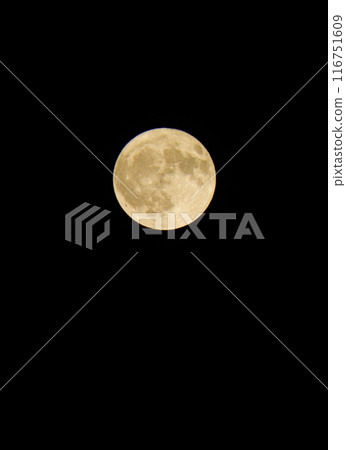 漂浮在夜空的滿月 漂浮在夜空的滿月 116751609