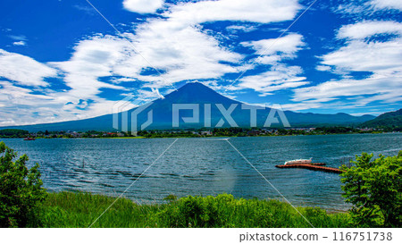 夏季河口湖和富士山的壯麗景色 116751738