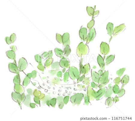 A watercolor illustration of a spider web hanging from a hedgerow on a drizzly morning, sparkling with raindrops 116751744