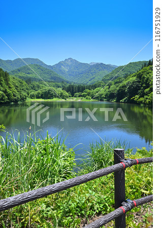 Lake Daigenta in early summer, Mt. Daigenta, tranquil lakeside scenery, Yuzawa Town, Niigata Prefecture 116751929