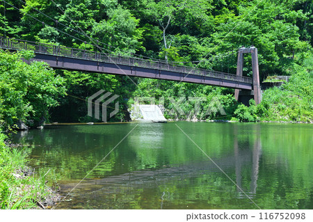 Early summer at Daigenta Canyon, lakeside scenery, Yuzawa Town, Niigata Prefecture Early summer at Daigenta Canyon, lakeside scenery, Yuzawa Town, Niigata Prefecture 116752098