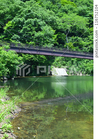 新潟縣湯澤町大元太峽谷初夏湖畔風光 116752104