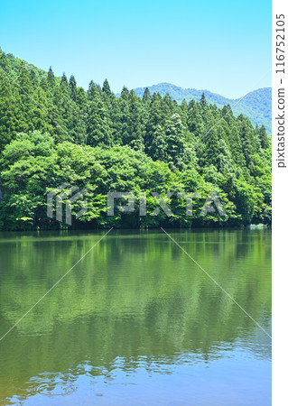 Lake Daigenta in early summer: A tranquil lakeside scene in Yuzawa Town, Niigata Prefecture 116752105