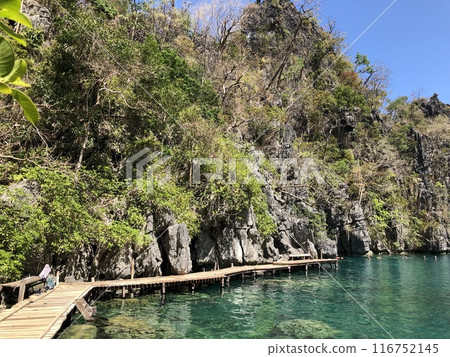 Kayangan Lake in Coron Island Philippines Photo Kayangan Lake in Coron Island Philippines Photo 116752145