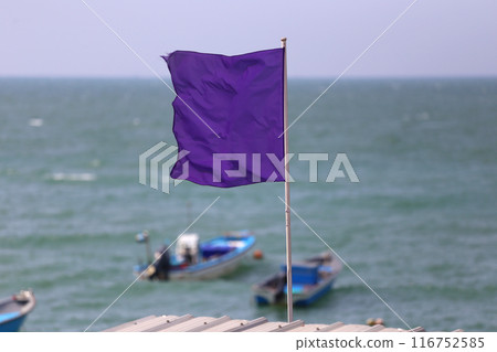 Empty Purple flag on the roof was waving. 116752585