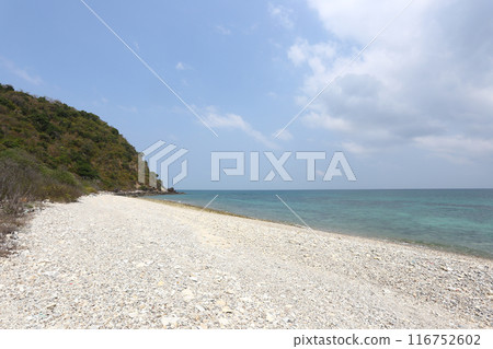The seaside of the beautiful Koh Larn beach in Chonburi Province of Thailand. 116752602