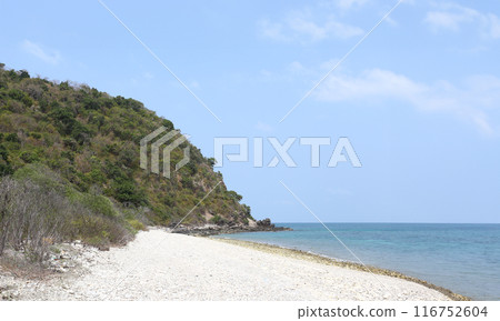 The seaside of the beautiful Koh Larn beach in Chonburi Province of Thailand. The seaside of the beautiful Koh Larn beach in Chonburi Province of Thailand. 116752604