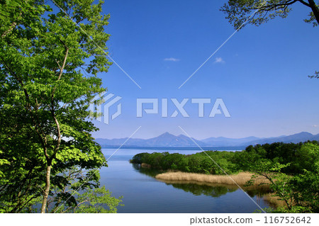 從鬼沼出發的豬苗代湖和磐梯山（福島縣郡山市甲南町） 116752642