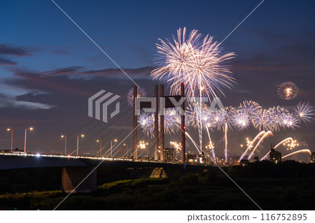 《Tokyo》Fireworks and Koremasa Bridge・TOKYO City Pop Fireworks 116752895