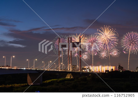 《Tokyo》Fireworks and Koremasa Bridge・TOKYO City Pop Fireworks 116752905