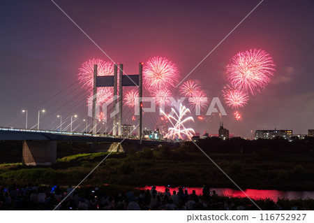 《Tokyo》Fireworks and Koremasa Bridge・TOKYO City Pop Fireworks 116752927