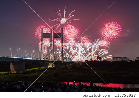 《Tokyo》Fireworks and Koremasa Bridge・TOKYO City Pop Fireworks 116752928