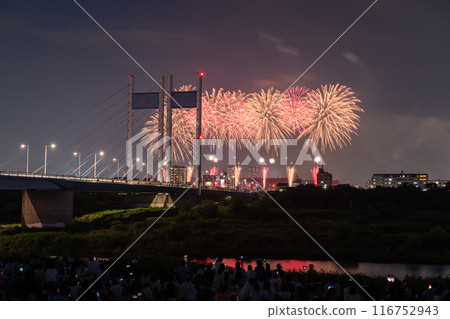 《Tokyo》Fireworks and Koremasa Bridge・TOKYO City Pop Fireworks 116752943