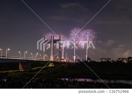 《Tokyo》Fireworks and Koremasa Bridge・TOKYO City Pop Fireworks 116752966